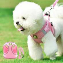 1 Set Cat & Dog Harness Leash, 4-Season Use For Small/Medium Pets, Breathable Mesh Adjustable Reflective Pet Vest Harness (Size Runs Slightly Large)