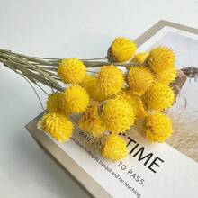 20 件天然干花、草莓果实、大型干野花花束、干花花束、秋季手工家居装饰、波西米亚风格乔迁礼物、礼品、圣诞节、万圣节装饰