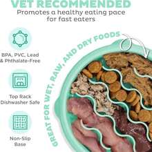 Outward Hound Small Fun Feeder Slow Bowl, Puzzle For Fast Eaters, Puppies, Cats &Amp; Small Dogs, Wet Or Dry Food, Helps Prevent Bloat &Amp; Aid Digestion, 3/4 Cup Capacity, Non-Slip, Made Without BPA, Mint - ColorC - 查看 3