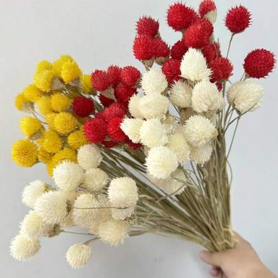 20pcs Natural Dried Flowers, Strawberry Fruits, Large Dried Wildflower Bouquets, Dried Flower Bouquets, Autumn Handmade Home Decorations, Bohemian Style Housewarming Gifts, Gifts, Christmas, Halloween Decorations