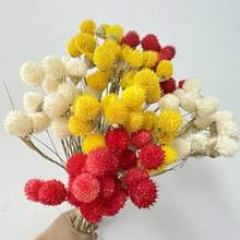 20 件天然干花、草莓果实、大型干野花花束、干花花束、秋季手工家居装饰、波西米亚风格乔迁礼物、礼品、圣诞节、万圣节装饰