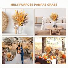 100 pièces Décorations de fleurs séchées d'automne Herbe de Pampa orange Bouquet doré moelleux Centres de table de mariage d'automne Style rustique et champêtre Fleurs d'automne bohèmes pour la décoration intérieure et extérieure