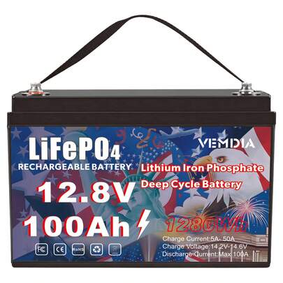 12V 100Ah Lifepo4 L…