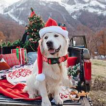 Elegant Little Tail Christmas Dog Collar Pet Dog Collar Soft Red Plaid Winter Pet Collars Holiday With Quick Release Buckle Puppy Collar For Dogs