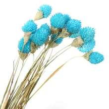 20 件天然干花、草莓果实、大型干野花花束、干花花束、秋季手工家居装饰、波西米亚风格乔迁礼物、礼品、圣诞节、万圣节装饰