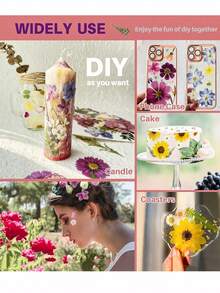 1 Set Natural Dried Flowers, For Nail Art, Resin Art, Candle Making, DIY Craft Decoration, Colorful Epoxy Mold Filler, Mixed Small Pressed Botanicals