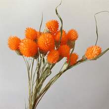 20 件天然干花、草莓果实、大型干野花花束、干花花束、秋季手工家居装饰、波西米亚风格乔迁礼物、礼品、圣诞节、万圣节装饰