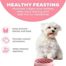 Outward Hound Small Fun Feeder Slow Bowl, Puzzle For Fast Eaters, Puppies, Cats &Amp; Small Dogs, Wet Or Dry Food, Helps Prevent Bloat &Amp; Aid Digestion, 3/4 Cup Capacity, Non-Slip, Made Without BPA, Pink - MàuE - Xem 2