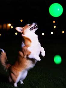 Jumping Balls That Glow At Night Pet Supplies TPR Dog Relief Toys Teething Luminous Dog Toys Balls Bite Resistant Dog Training Toy Night