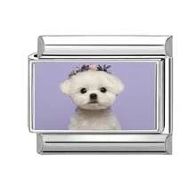 (Unassembled Product) 1 Pc DIY Creative Jewelry Accessories, Cartoon Cat Dog Animal Element DIY Bracelet Necklace Ring Anklet, Fashionable Exquisite Cute Handmade Modular Bracelet - M292313 - View 21