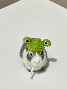 仓鼠草帽，仓鼠宠物小帽子，宠物仓鼠服装帽子，圣诞草帽可调节泰迪仓鼠头饰，泰迪仓鼠服装鹦鹉头饰，玄凤鹦鹉，豚鼠配饰