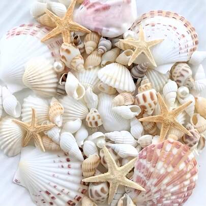 Approx. 100pcs/Box Assorted Natural Sea Shells - For DIY Jewelry Making, Fish Tank Decor, Bathroom Decor, Party Candles, Wedding Decoration, Craft Projects