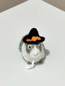 仓鼠草帽，仓鼠宠物小帽子，宠物仓鼠服装帽子，圣诞草帽可调节泰迪仓鼠头饰，泰迪仓鼠服装鹦鹉头饰，玄凤鹦鹉，豚鼠配饰