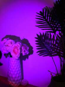 1pc Usb Power Led Sunset Projection Light,Sunset Atmosphere Lamp, Led Night Light Projector For Photography/Selfie Party Decor,Home Decor,Living Room Decor, Bedroom Decor,Camping Decor,Wedding Decor, Gifts For Women,Girls,Friends,Family,Room Wall Decor Sunset Light