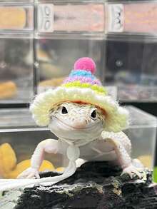 仓鼠草帽，仓鼠宠物小帽子，宠物仓鼠服装帽子，圣诞草帽可调节泰迪仓鼠头饰，泰迪仓鼠服装鹦鹉头饰，玄凤鹦鹉，豚鼠配饰