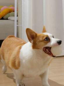 Jumping Balls That Glow At Night Pet Supplies TPR Dog Relief Toys Teething Luminous Dog Toys Balls Bite Resistant Dog Training Toy Night