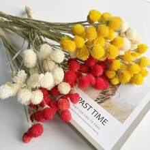 20 件天然干花、草莓果实、大型干野花花束、干花花束、秋季手工家居装饰、波西米亚风格乔迁礼物、礼品、圣诞节、万圣节装饰