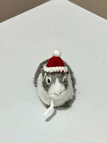 仓鼠草帽，仓鼠宠物小帽子，宠物仓鼠服装帽子，圣诞草帽可调节泰迪仓鼠头饰，泰迪仓鼠服装鹦鹉头饰，玄凤鹦鹉，豚鼠配饰