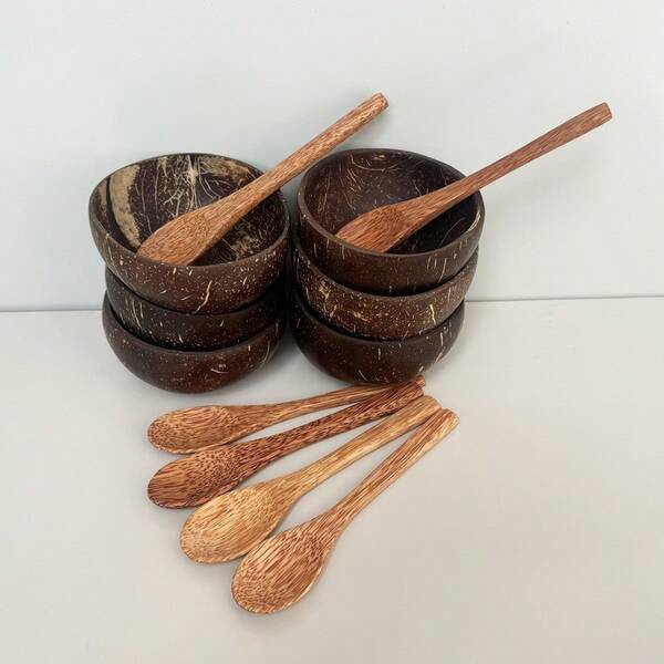 1 set (Cuenco de coco + Cuchara) Cuenco de cáscara de coco, cuenco redondo vintage, cuchara de cáscara de coco para batidos y postres, adecuado para comedor y útiles escolares, cuchara de cáscara de coco de vuelta al colegio
