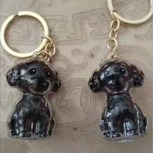 Adorno colgante de moda para el recuerdo del pelo de mascota, llavero de cachorro lindo, recuerdo del pelo de perro/gato, caja de almacenamiento creativa con llavero - Multicolor - Ver 8