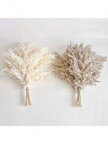 10/20pcs White Artificial Pampas Grass Decoration 17.3 Inch Small Fake Reed Feather Bouquet, Brown Pampas Grass Decoration Bohemian Style Room Floral Decoration Wedding Vase Door Wreath Decoration, Bedroom Decor, Boho Wedding Decor, Floor Decor, Ceremony Backdrop Artificial Bouquet, Mother's Day Gift, Birthday Anniversary Gift, DIY Wreath Decor