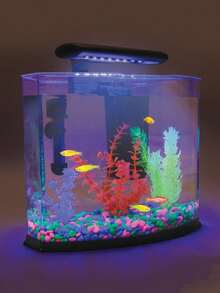 500颗全新夜光石，夜光花园装饰配件，微景观，水族箱，户外庭院，草坪装饰套装；200颗/100颗夜光花园鹅卵石，花瓶填充物，小径和庭院装饰，DIY夜光石 - 彩色 - 查看 6