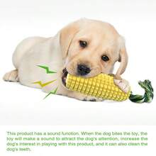 Corn Chew Stick Dog Toy, Squeaky Ball Dog Toy, Dog Training & Dental Care