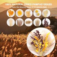 100 pièces Décorations de fleurs séchées d'automne Herbe de Pampa orange Bouquet doré moelleux Centres de table de mariage d'automne Style rustique et champêtre Fleurs d'automne bohèmes pour la décoration intérieure et extérieure