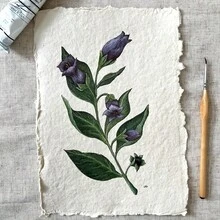 25 ورقة ورق مائي، 300 جرام/متر مربع ورق مصنوع يدويًا بطبقة مضغوطة بارد ذو حافة مسننة ملمس خشن/أسلوب قديم باللون الأبيض والعاجي والبني، أوراق فضفاضة كبيرة الحجم للرسم والتلوين والتصميم والخط والأعمال الفنية والحرفية والدعوات الزفاف والبطاقات والتجليد والنسيج والمشاريع النسيجية - مثالي للفنانين والرسامين والحرفيين والمبتدئين ومستلزمات الفن والهدايا الموسمية والاستخدام المنزلي والصفي - متعدد الألوان - مشاهدة 7