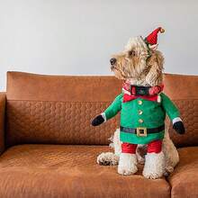 Elegant Little Tail Christmas Dog Collar Pet Dog Collar Soft Red Plaid Winter Pet Collars Holiday With Quick Release Buckle Puppy Collar For Dogs