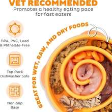 Outward Hound Medium Slow Feeder Bowl, Puzzle Maze For Fast Eaters, Small To Medium Dogs, Helps Prevent Bloat &Amp; Aid Digestion, Holds 2 Cups Wet Or Dry Food, Non-Slip, Made Without BPA, Orange - ColorD - View 3