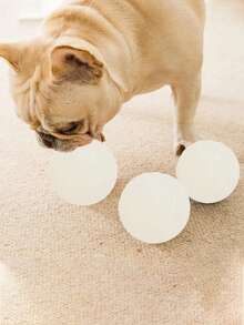 Jumping Balls That Glow At Night Pet Supplies TPR Dog Relief Toys Teething Luminous Dog Toys Balls Bite Resistant Dog Training Toy Night