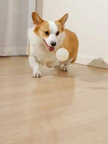 Jumping Balls That Glow At Night Pet Supplies TPR Dog Relief Toys Teething Luminous Dog Toys Balls Bite Resistant Dog Training Toy Night