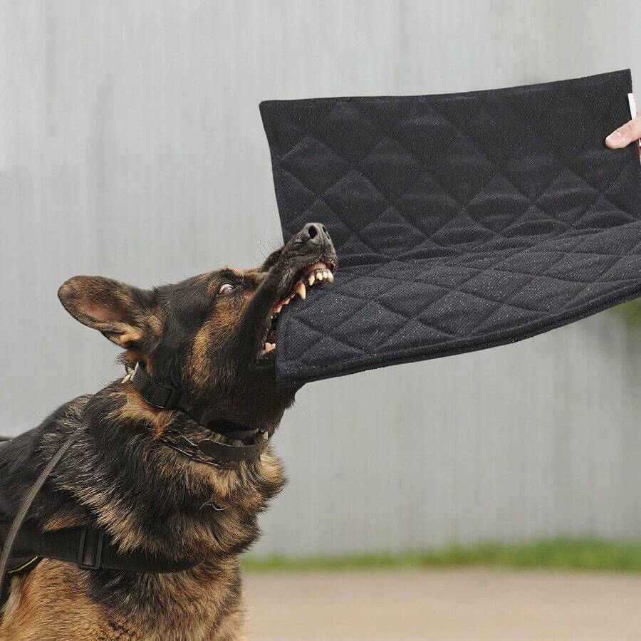Indestructible Dog Beds Chew Proof Crate Pad For Aggressive Chewers Machine Washable Quilted Mat Durable For Small Dogs Black Kennel Pad 17x23 In - 17x23 - 查看 1