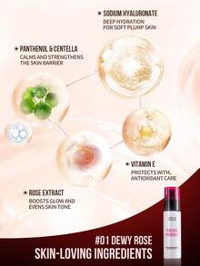 Misslyn Makeup POWER LAB 保湿定妆喷雾，保湿定妆喷雾，二合一喷雾，持久妆容，保湿，超细喷雾，亮泽妆效，玫瑰香味，舒缓轻盈，不结块，修复屏障，含透明质酸的细腻面部喷雾，多功能使用，清爽肌肤