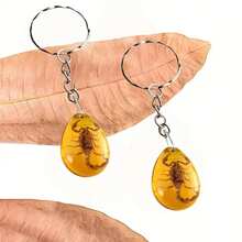 1 Piece Luminous Imitation Amber Scorpion Pattern Keychain - Luminous Resin Keychain Pendant - High Transparency Resin Synthetic Amber Design, Glows At Night, Fluorescent, Halloween Gift, Back-To-School Gift, Nature Theme Gift, Party Gift, Unisex, Outdoor Enthusiast, Lightweight And Durable, Car Decoration, Car Key Pendant |   Bag Pendant |   Fun Accessory, An Ideal Gift Choice For Friends, Couples, And Family Members - 琥珀色 - 查看 5