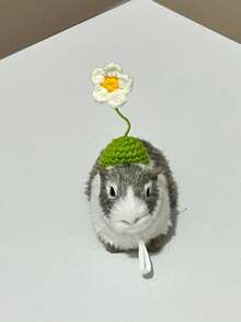 仓鼠草帽，仓鼠宠物小帽子，宠物仓鼠服装帽子，圣诞草帽可调节泰迪仓鼠头饰，泰迪仓鼠服装鹦鹉头饰，玄凤鹦鹉，豚鼠配饰