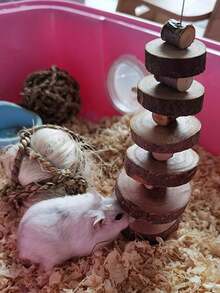 1pc ,Small Animal Chews Toy Natural Apple Wood Block Cage Hanging Molars Treats Snack For Hamsters Rabbits Bunny Bird Parrots Chinchilla Gerbils Squirrels - Brown - View 4