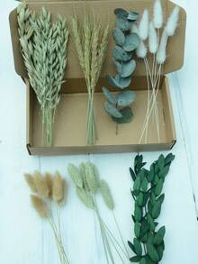 DIY干花套装，包含天然色调和桉树叶，可用于制作DIY干花束、干花花环（包含香蒲、芦苇、灯芯草）