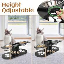 加高猫碗，可调节猫食碗，15 度倾斜食碗，适用于猫、幼犬和小型宠物，加高狗食碗，可调节狗粮和水碗，带 3 个不锈钢支架，宠物必需品，易于组装和携带，易于清洁，可拆卸和清洗，适用于多只小猫的必备猫碗 - 彩色 - 查看 11