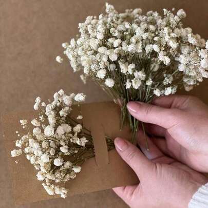 60/100 Stücke weiße Mini Schleierkraut Sträuße - getrocknetes Pampasgras, für DIY Arrangements, Grußkarten, Hochzeits- und Partydekoration, Valentinstag