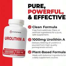Immortal Herbs Urolithin A Supplement 1000mg, 120 Pills, Mitochondrial &Amp; Antioxidant Support, Non-GMO And Gluten-Free Urolithin A+ Supplement For Women And Men - 白色的 - 查看 3