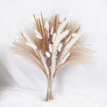 38/50/80 件天然优质蒲苇装饰 - 干藤花，适用于家庭、婚礼、活动和节日装饰（圣诞节、万圣节、复活节、感恩节）、秋季装饰、秋季
