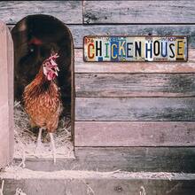 1pc Vintage Farm Metal Tin Sign, Chicken House Wall Sign, Chicken Crossing Metal Wall Sign, Henhouse Wall Plaque, Rustic Wall Decor For Farm, Farmhouse, Yard, Porch, Home, Henhouse, Chicken House, Outdoor, Farmhouse Decoration, Farm Wall Hanging Plaque, 4x16 Inch
