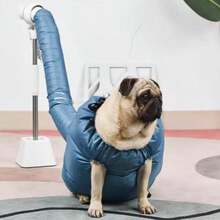 Automatic Pet Drying Bag For Large Dogs, Home Use Dog Grooming Dryer Box For Golden Retriever