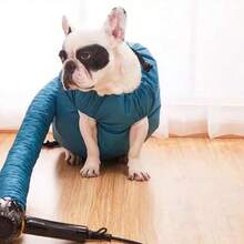 Automatic Pet Drying Bag For Large Dogs, Home Use Dog Grooming Dryer Box For Golden Retriever