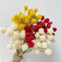 20 件天然干花、草莓果实、大型干野花花束、干花花束、秋季手工家居装饰、波西米亚风格乔迁礼物、礼品、圣诞节、万圣节装饰