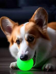 Jumping Balls That Glow At Night Pet Supplies TPR Dog Relief Toys Teething Luminous Dog Toys Balls Bite Resistant Dog Training Toy Night