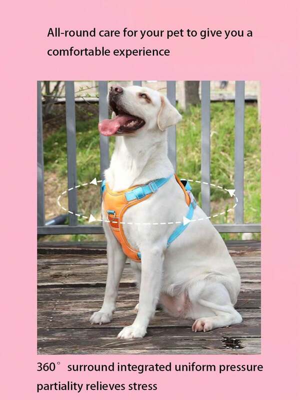 Chaleco reflectante con arnés para perros grandes