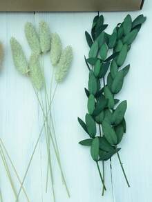 DIY干花套装，包含天然色调和桉树叶，可用于制作DIY干花束、干花花环（包含香蒲、芦苇、灯芯草）